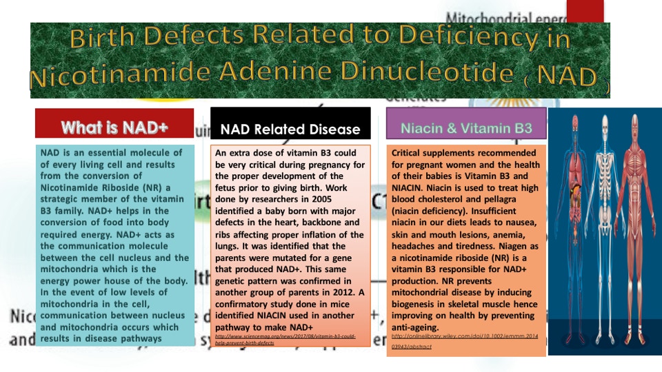 The busy nature of pregnant women is real and they easily run out of mitochondrial energy and depletion of NAD+ required for proper baby development